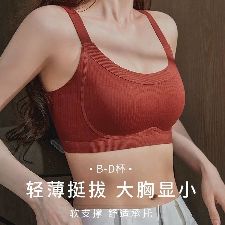 Large Bust Minimizing Bra for Women, Push-Up, Side Support, Anti-Sagging, Adjustable, Seamless, Wire-Free Bra, Slimming for Autumn and Winter